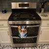 Collie in Sunflowers Kitchen Towel Dish Cloths Guest Hand Towel Decorative Bathroom Towel for Face,Tea, Dishcloth, Kitchen and Bath