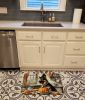 German Shepherd Fall Kitchen Pumpkins Memory Foam Kitchen Mat Machine Washable Anti-Fatigue Mat Cushion Comfort Bath Mat or Kitchen Rug