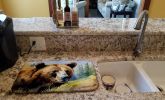 Grizzly Bear Dish Drying Mat Absorbent Dish Drying Mat Pad for Kitchen Counter Dish Drainer Mat for Countertop, 14 x 21", Multicolor