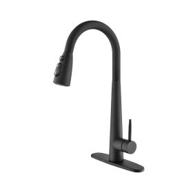 Kitchen Faucet with Pull Down Sprayer (Color: as Pic)